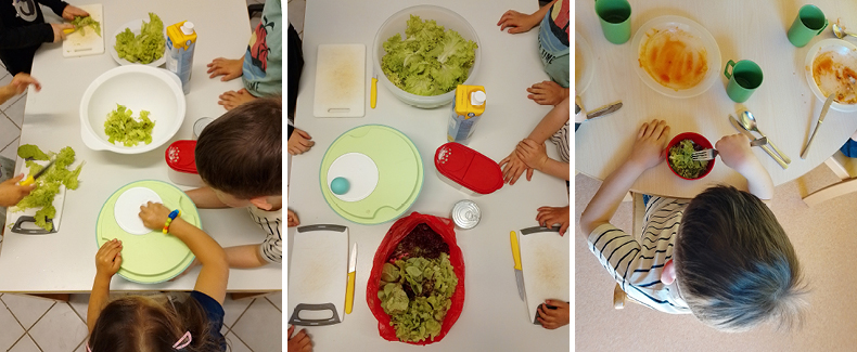 Vom Beet auf den Teller im Evangelischen Kinderhaus Diakonie Pirna