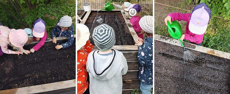 Hochbeet-Aussaat im Evangelischen Kinderhaus Diakonie Pirna