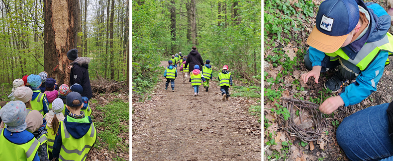 Auf Spurensuche im Wald mit dem Kinder Garten Eden Diakonie Pirna